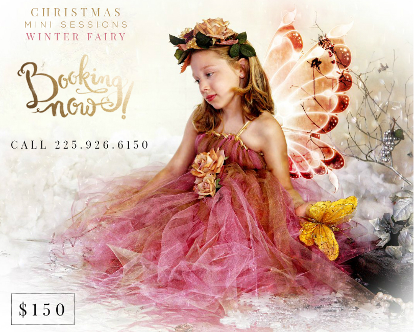 christmasfairy2014-2